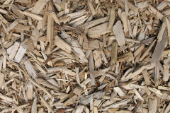 biomass boilers Rhiwderin
